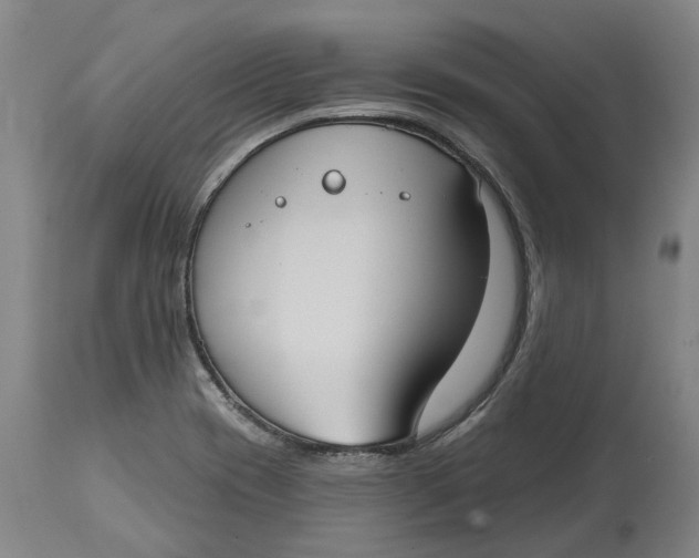 X0000114731417200911121744