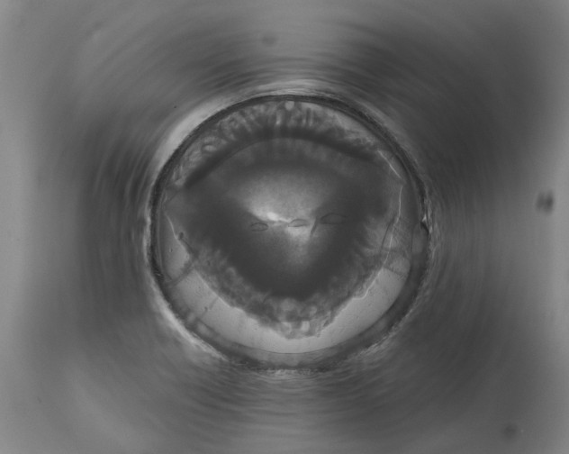 X0000114731418200911121744