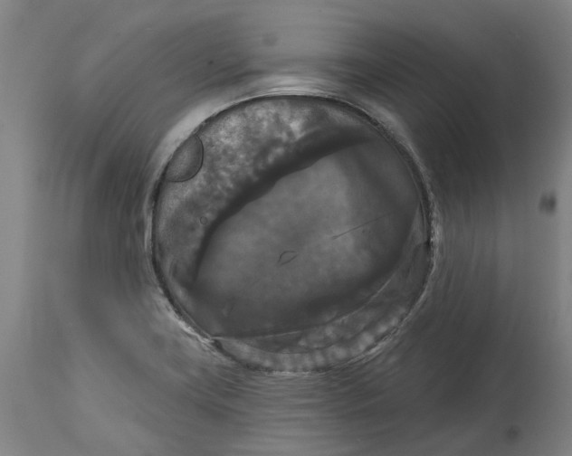 X0000114731419200911121744
