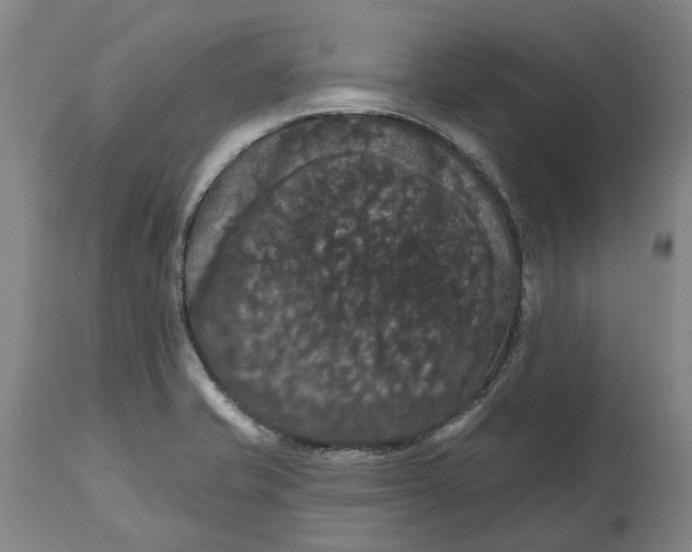 X0000114731421200911121744
