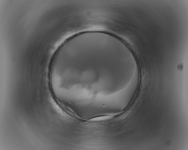 X0000114731422200911121744