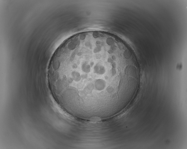 X0000114731423200911121744