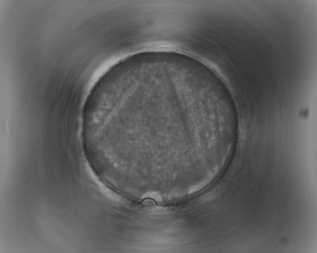 X0000114731424200911121745