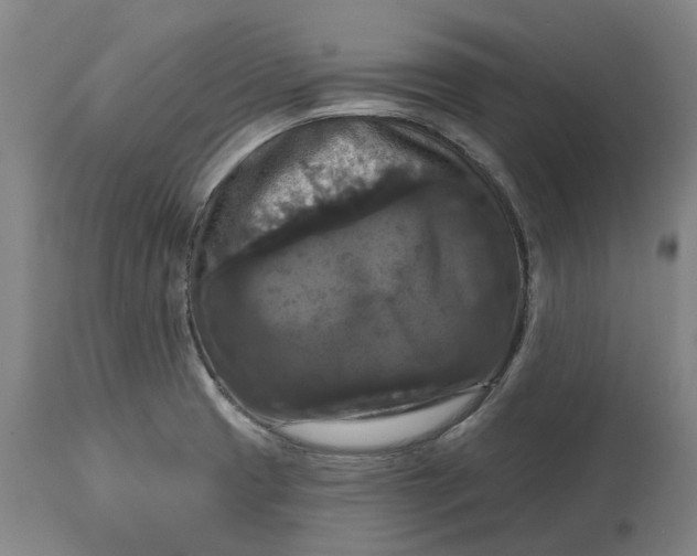 X0000114731425200911121745