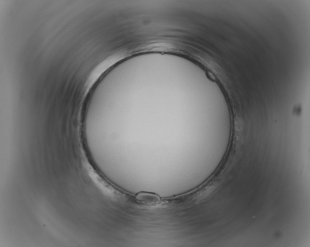 X0000114731426200911121745
