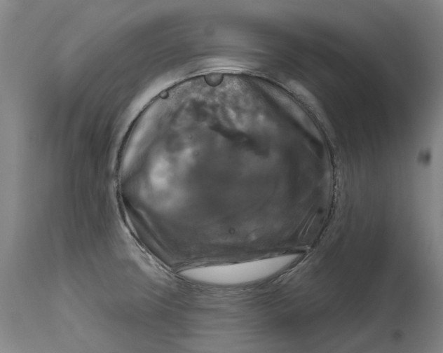 X0000114731427200911121745