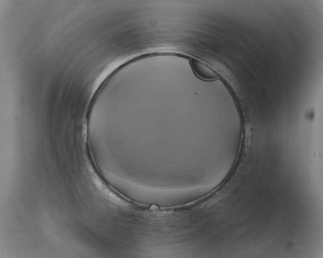 X0000114731428200911121745