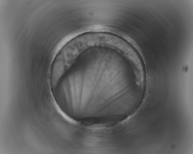 X0000114731429200911121745