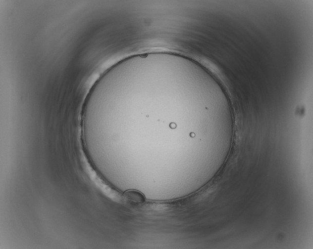 X0000114731431200911121745