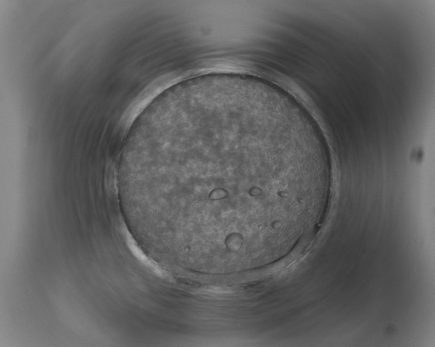 X0000114731433200911121745