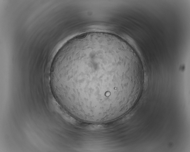 X0000114731435200911121745
