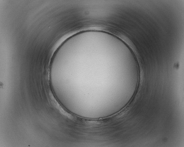 X0000114731436200911121745