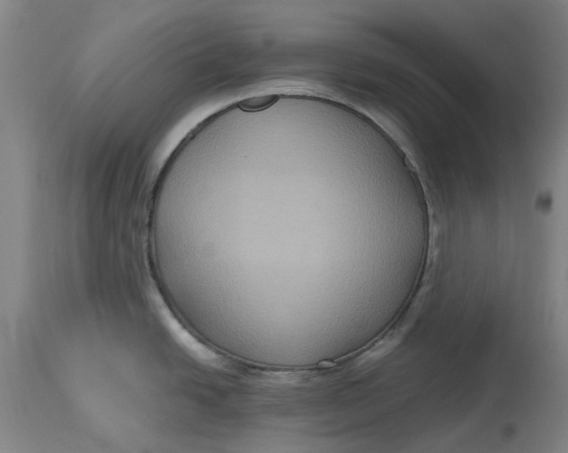 X0000114731438200911121745