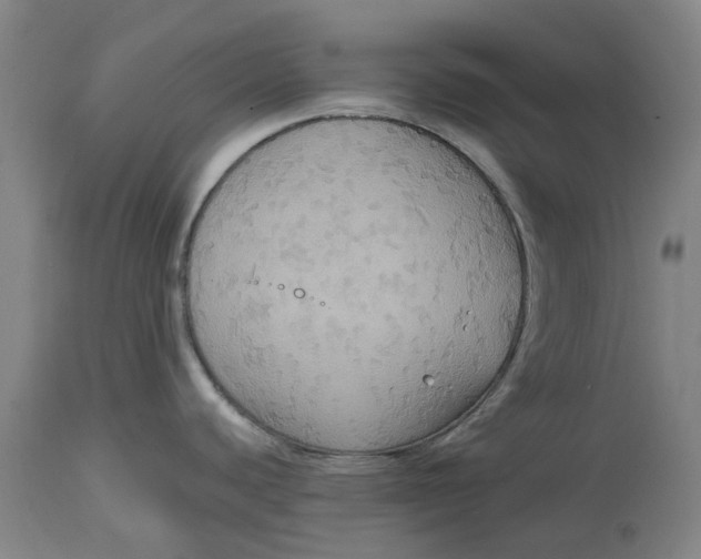 X0000114731440200911121745