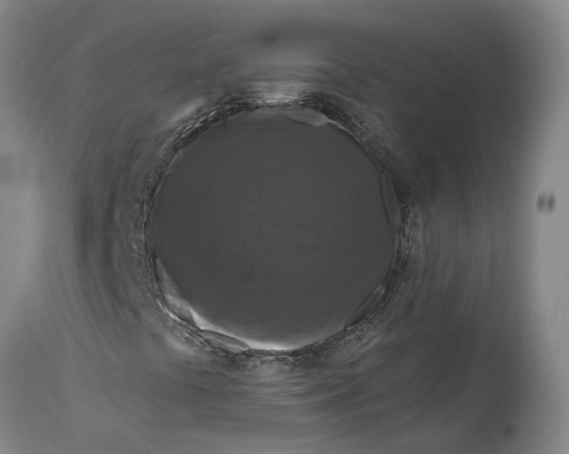 X0000114731441200911121744