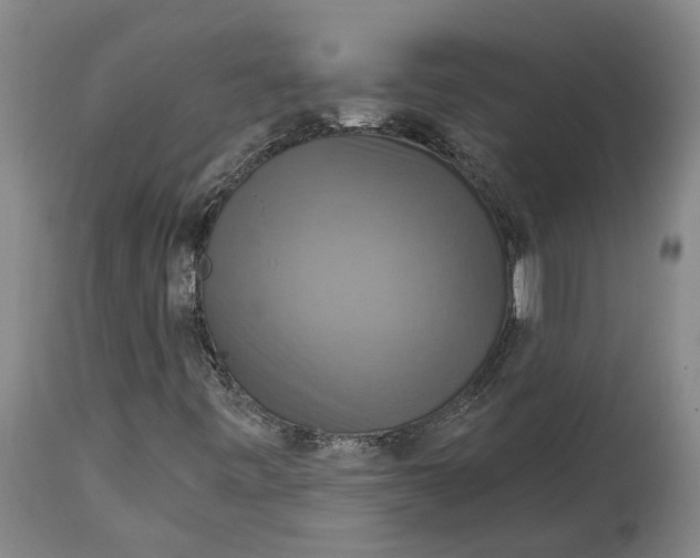 X0000114731443200911121744