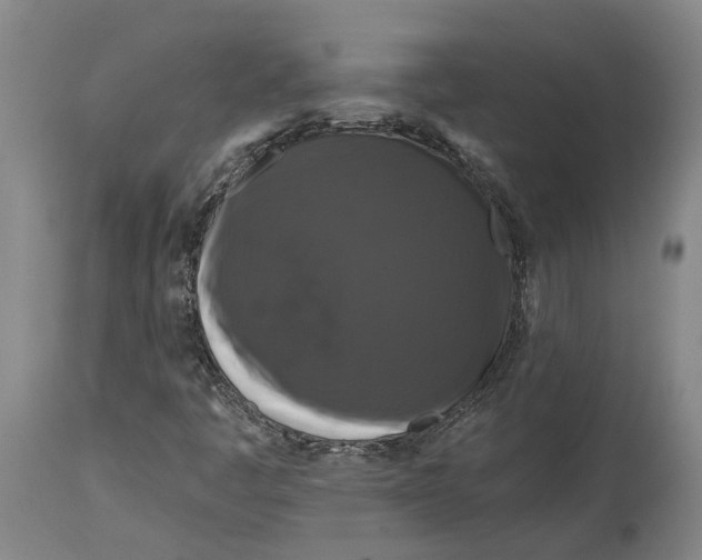 X0000114731445200911121744
