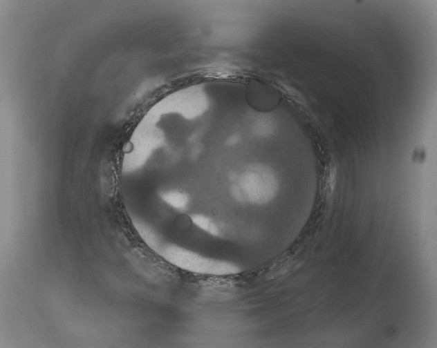 X0000114731446200911121744