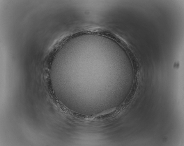 X0000114731447200911121744