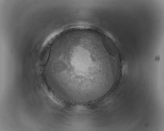 X0000114731448200911121744