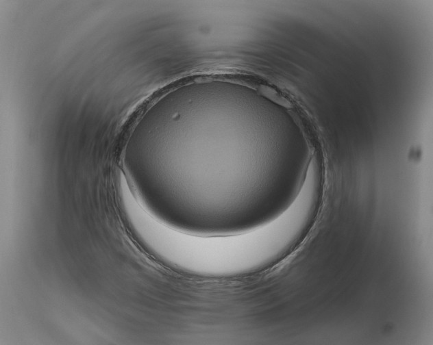 X0000114731449200911121744