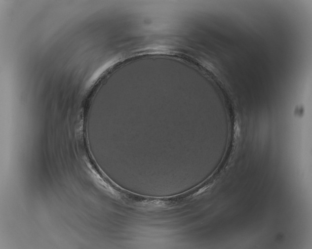 X0000114731450200911121744