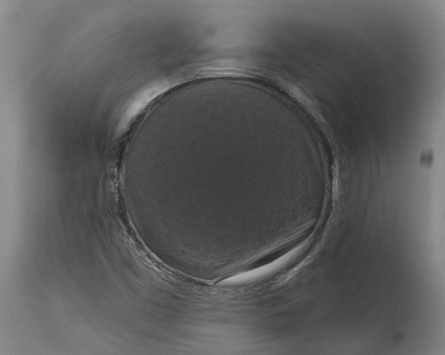 X0000114731453200911121744