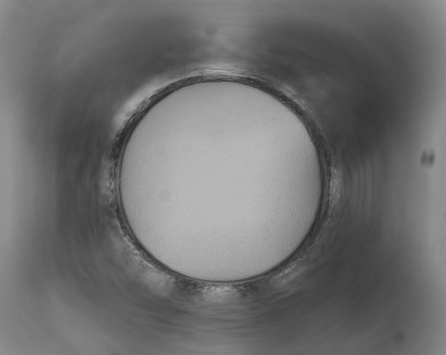 X0000114731454200911121744