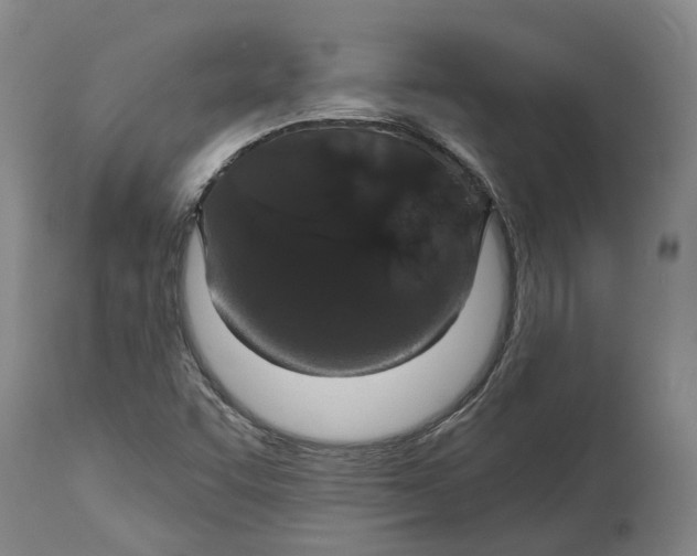 X0000114731455200911121744