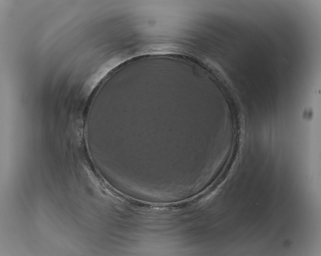X0000114731457200911121744
