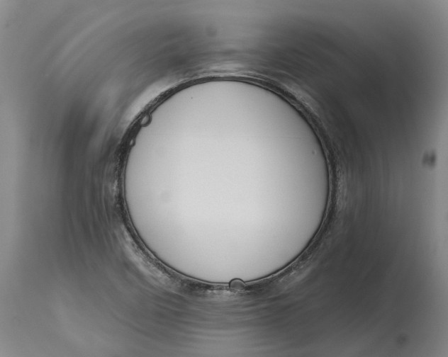 X0000114731458200911121744