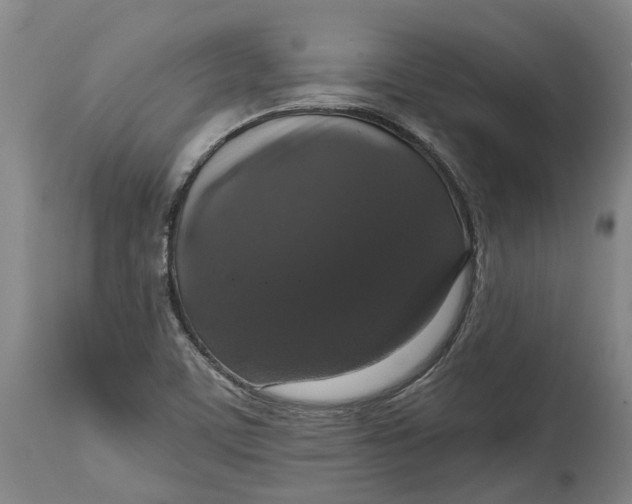 X0000114731459200911121744