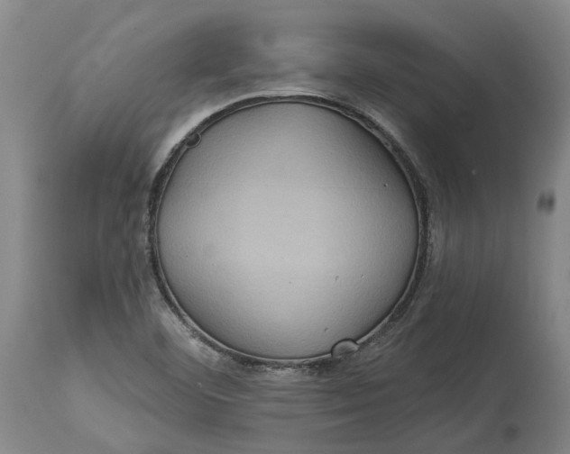X0000114731460200911121744