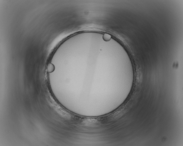 X0000114731462200911121744