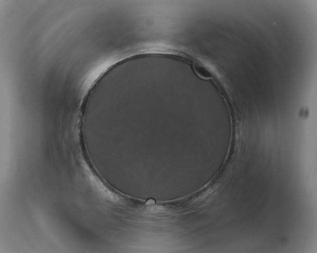 X0000114731463200911121744