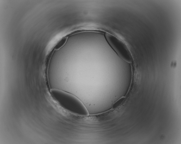 X0000114731464200911121744