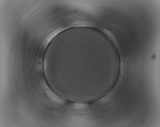 X0000114731465200911121744
