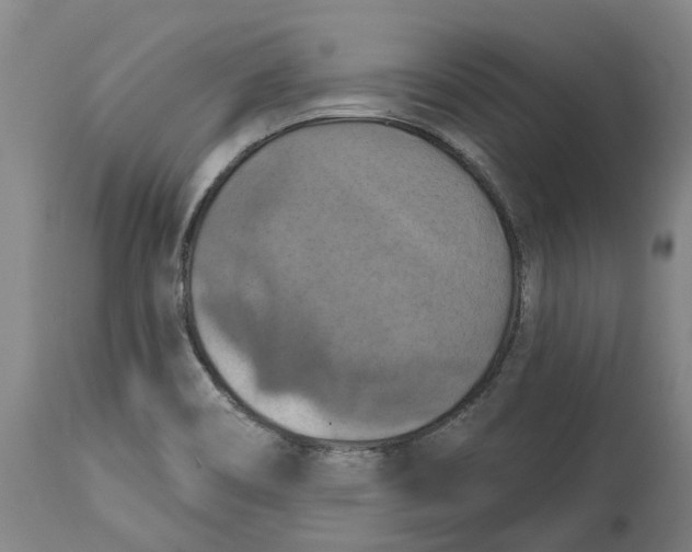 X0000114731466200911121744