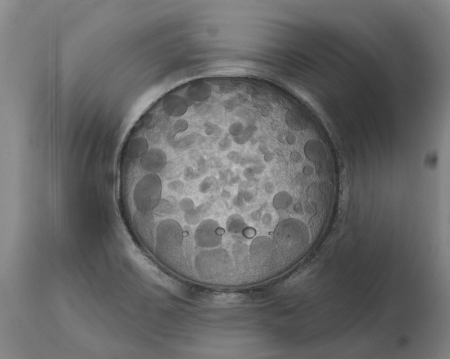 X0000114731467200911121744