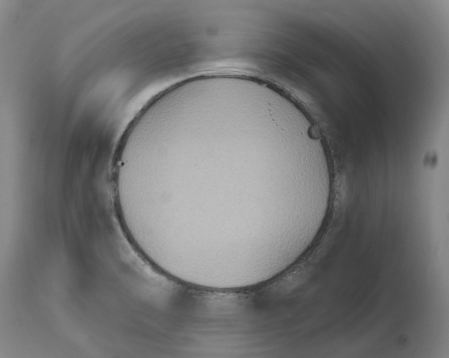 X0000114731470200911121744