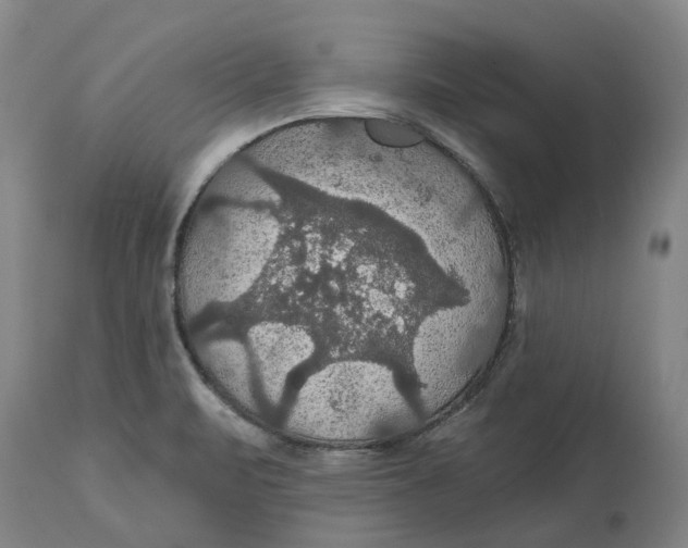 X0000114731471200911121743