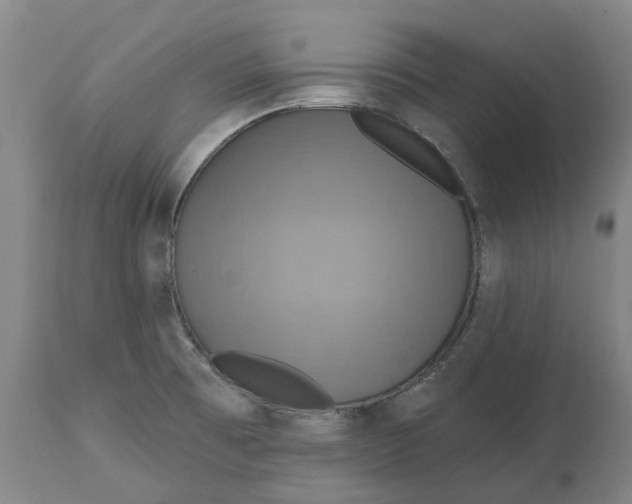 X0000114731473200911121743