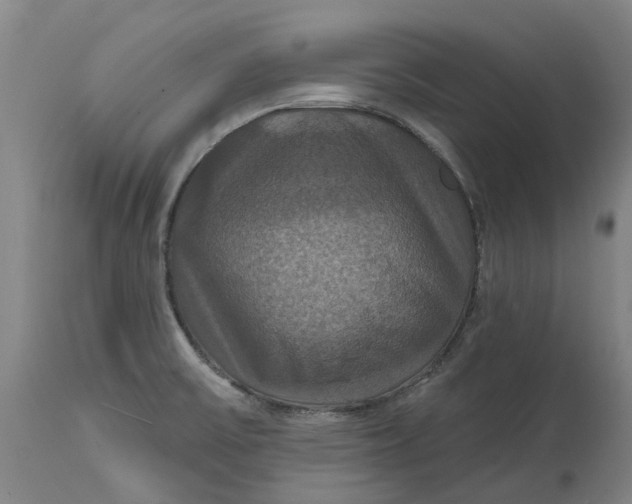 X0000114731475200911121743