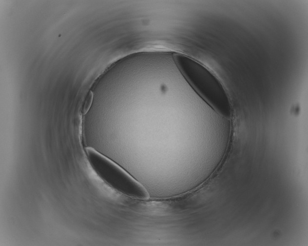 X0000114731476200911121743