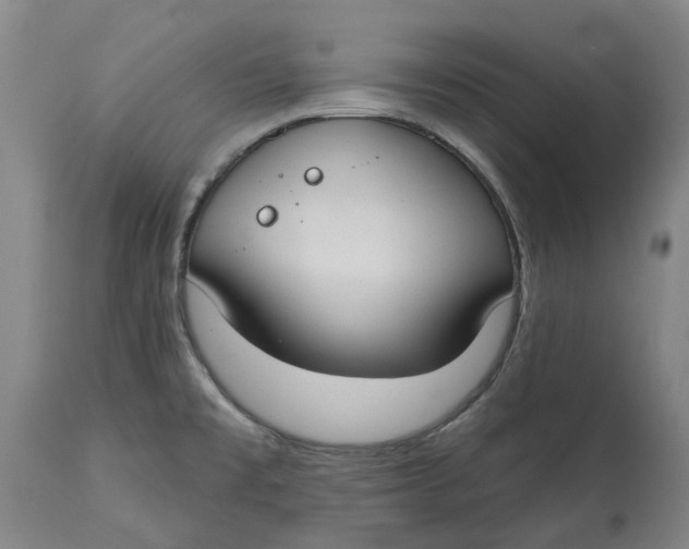 X0000114731477200911121743