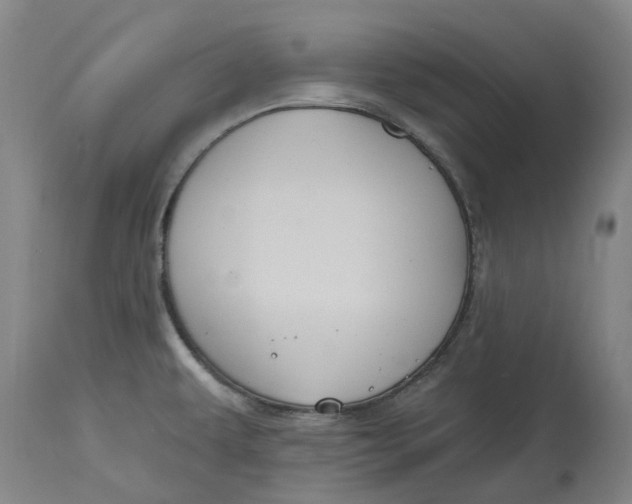 X0000114731479200911121743