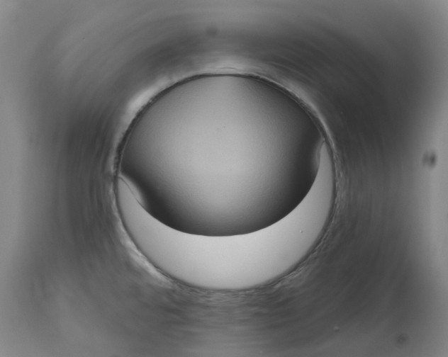 X0000114731480200911121743