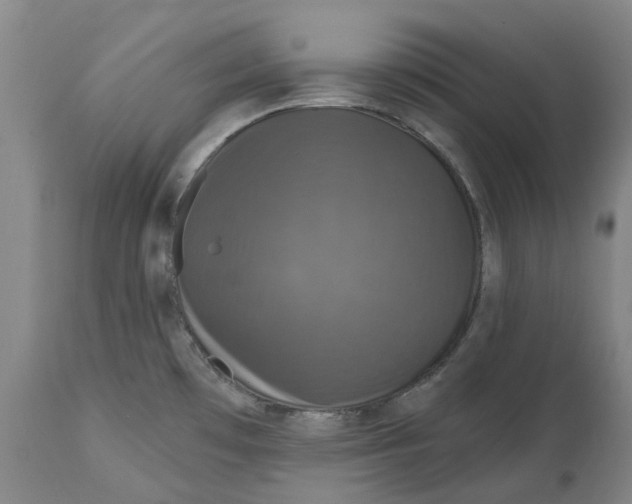 X0000114731481200911121743