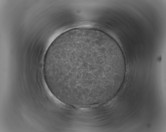 X0000114731483200911121743