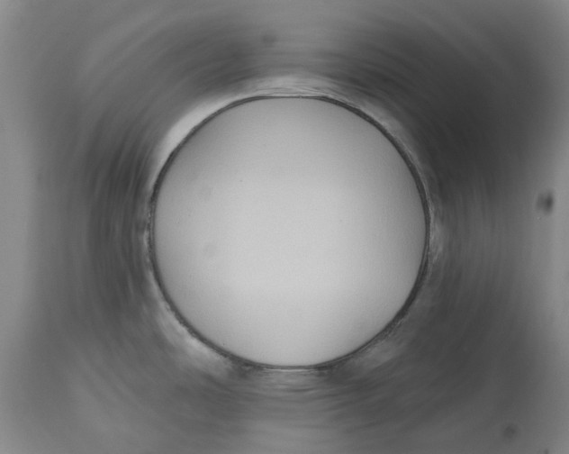 X0000114731486200911121743